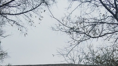 Outdoor Split AC Photo